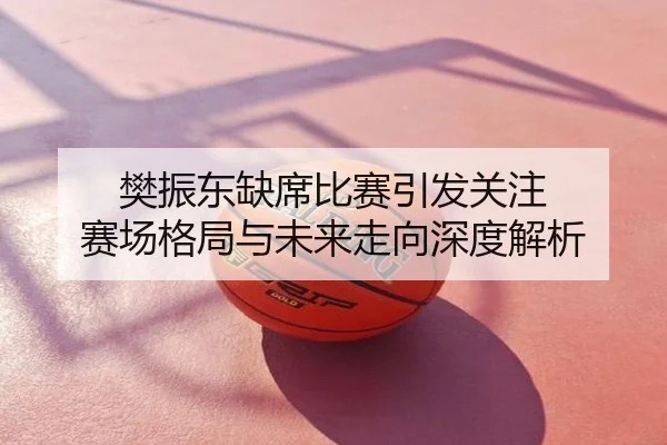 樊振东缺席比赛引发关注 赛场格局与未来走向深度解析
