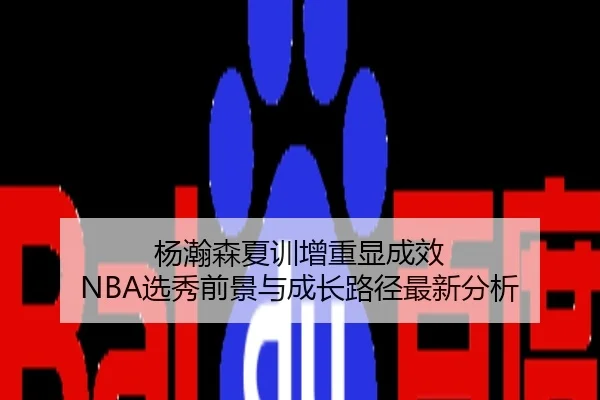 杨瀚森夏训增重显成效 NBA选秀前景与成长路径最新分析